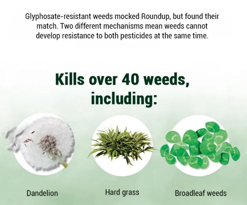 Dual-Action Weed Killer - Max Power Herbicide (Pack of 2)